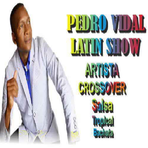 Pedro Vidal
